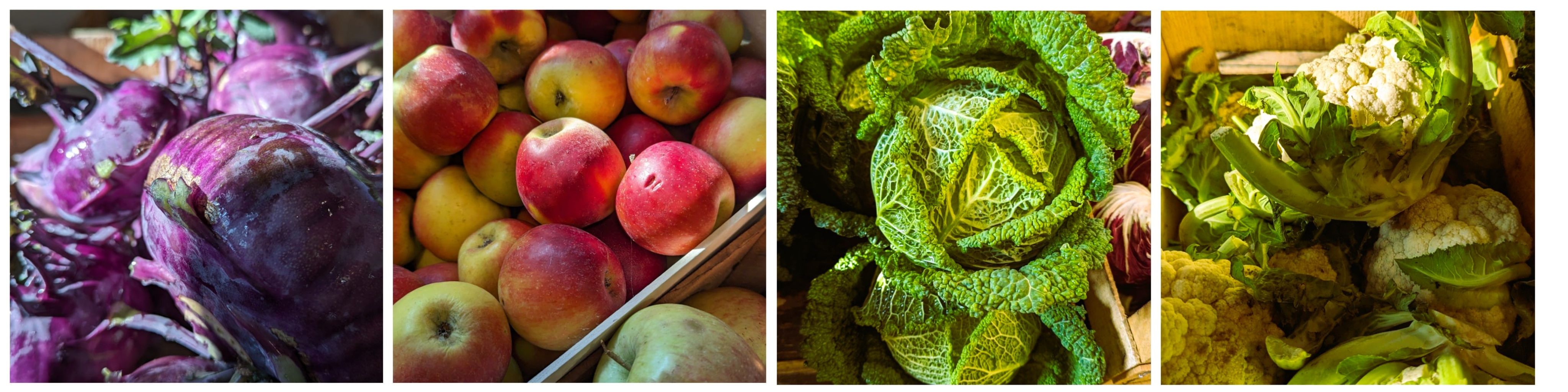 Servizi >  > Servizi per i Gas